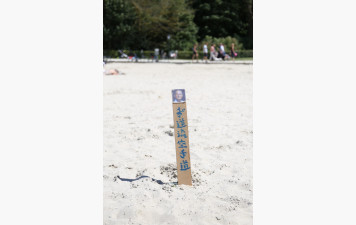 Stage à la plage