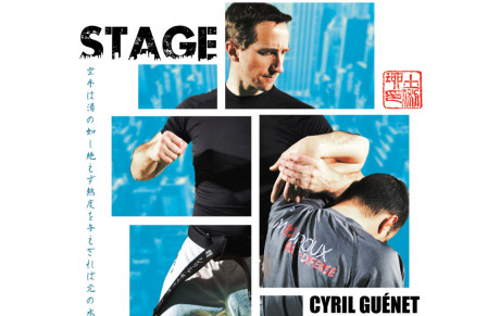 Stage avec Cyril Guenet